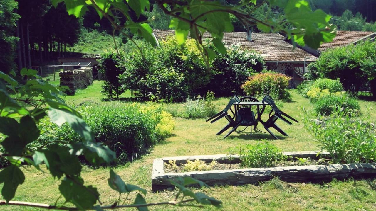 ホテル La Boissellerie Saulxures-sur-Moselotte エクステリア 写真
